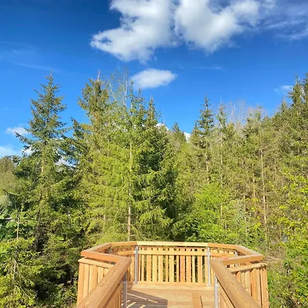 Üdülőpark Wald Ist Zukunft