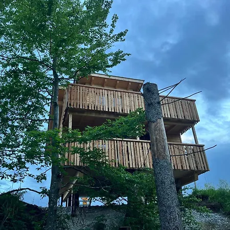 Ferienpark Wald Ist Zukunft