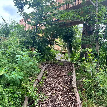 Üdülőpark Wald Ist Zukunft *