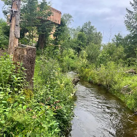 Wald Ist Zukunft Ferienpark *