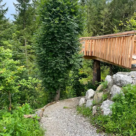 Wald Ist Zukunft *