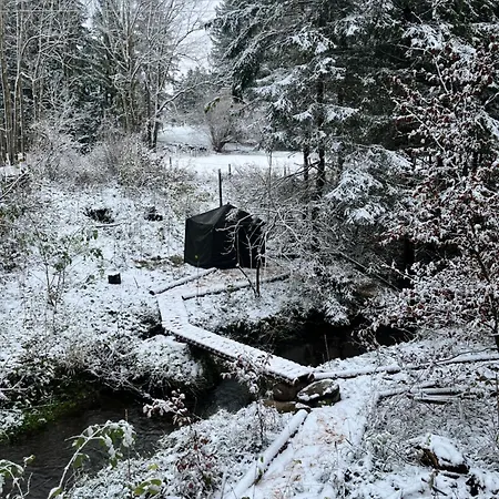 Üdülőpark Wald Ist Zukunft