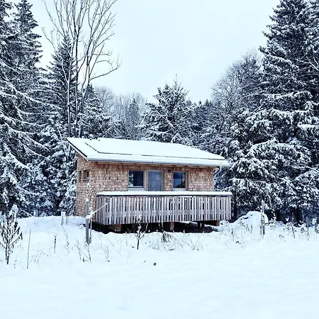 Üdülőpark Wald Ist Zukunft *