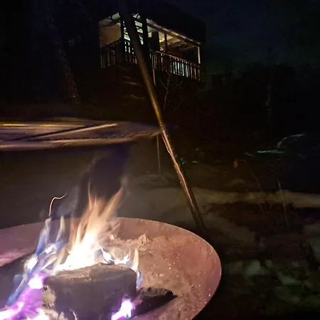 Ferienpark Wald Ist Zukunft