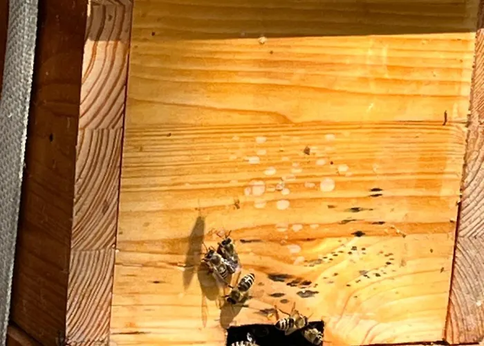 Wald Ist Zukunft Πάρκο διακοπών Bernbeuren