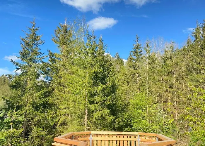 Πάρκο διακοπών Wald Ist Zukunft