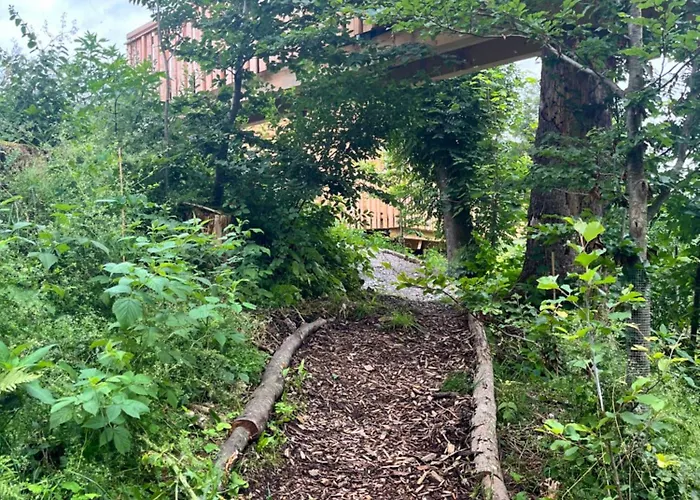 Πάρκο διακοπών Wald Ist Zukunft *