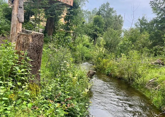 Wald Ist Zukunft Πάρκο διακοπών *