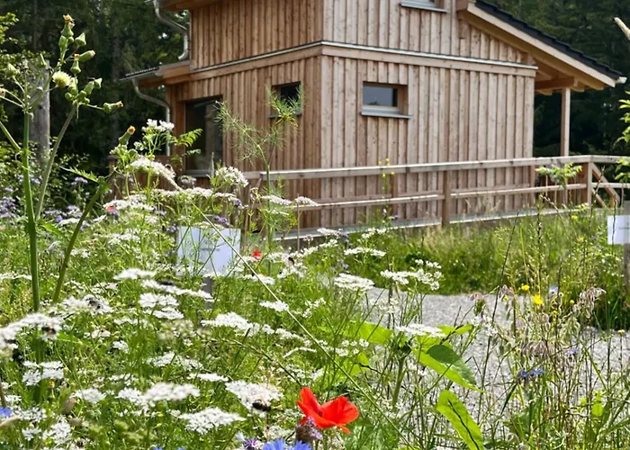 Wald Ist Zukunft База отдыха *