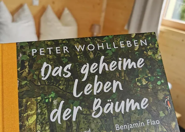 Wald Ist Zukunft Πάρκο διακοπών *