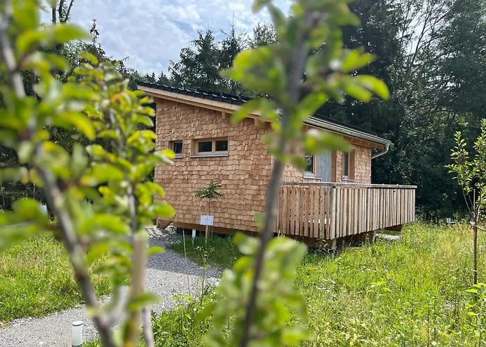 Wald Ist Zukunft * Бернбойрен