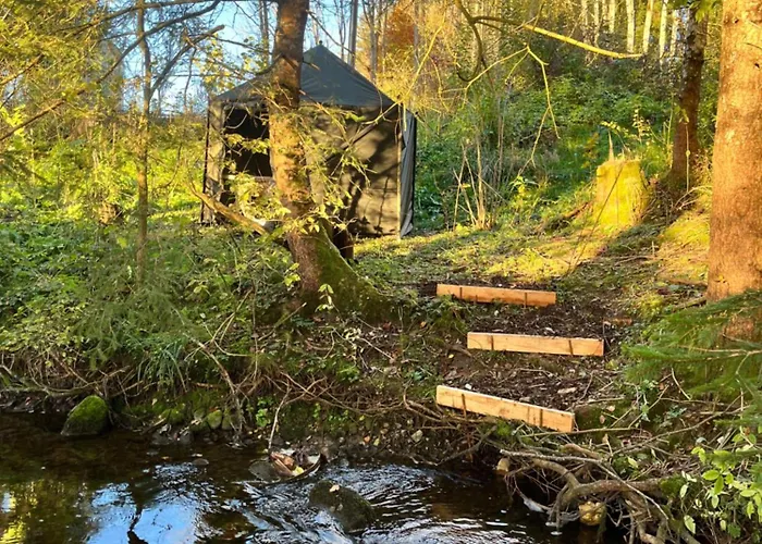 Wald Ist Zukunft