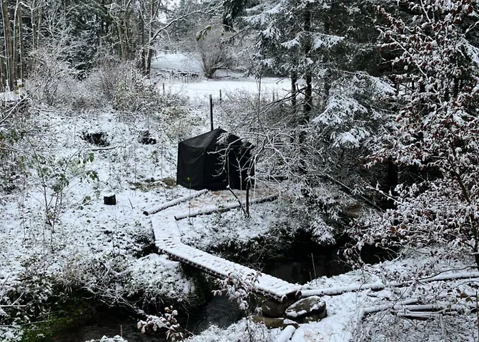 Πάρκο διακοπών Wald Ist Zukunft