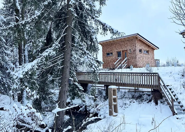 Wald Ist Zukunft Bernbeuren