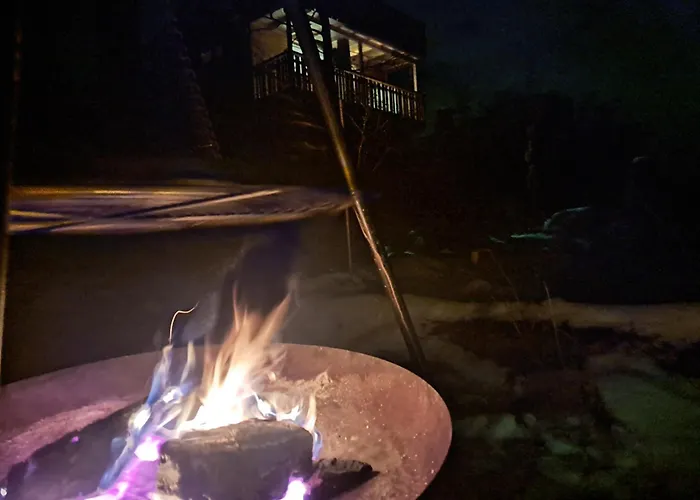 Πάρκο διακοπών Wald Ist Zukunft
