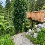 Wald Ist Zukunft *