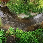 Wald Ist Zukunft Bernbeuren