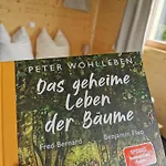 Wald Ist Zukunft פארק נופש *