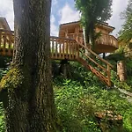 Wald Ist Zukunft ברנבורן