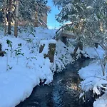 Wald Ist Zukunft Bernbeuren