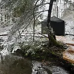 Wald Ist Zukunft