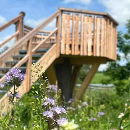 Wald Ist Zukunft Holiday park