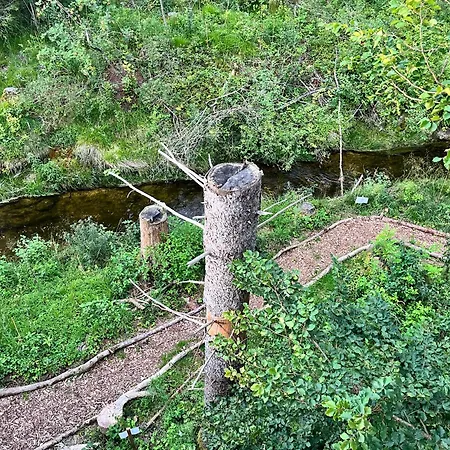 Wald Ist Zukunft Bernbeuren
