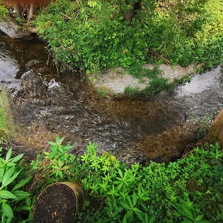 Wald Ist Zukunft Bernbeuren