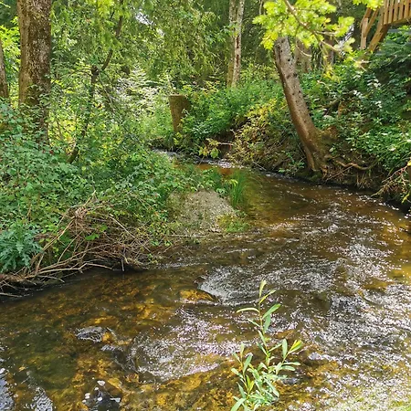 Wald Ist Zukunft