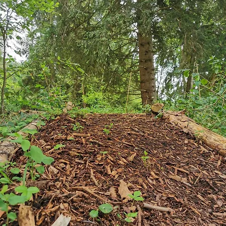 Wald Ist Zukunft Holiday park