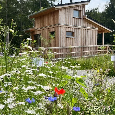 Wald Ist Zukunft Holiday park *