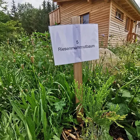 Üdülőpark Wald Ist Zukunft