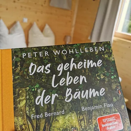 Wald Ist Zukunft Holiday park *