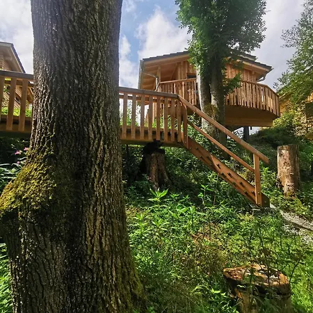 Wald Ist Zukunft Бернбойрен