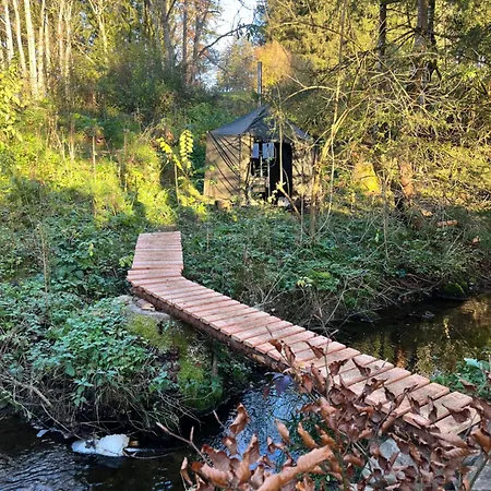 Wald Ist Zukunft 伯拜恩