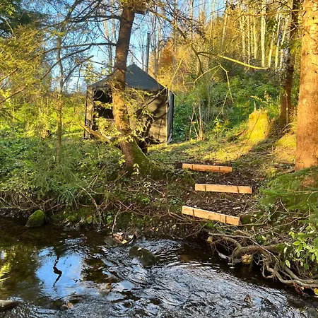 Wald Ist Zukunft