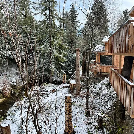 Üdülőpark Wald Ist Zukunft *