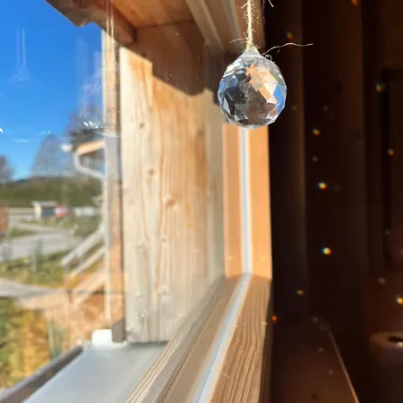 Wald Ist Zukunft * Bernbeuren