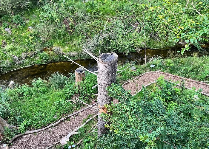 Wald Ist Zukunft Бернбойрен