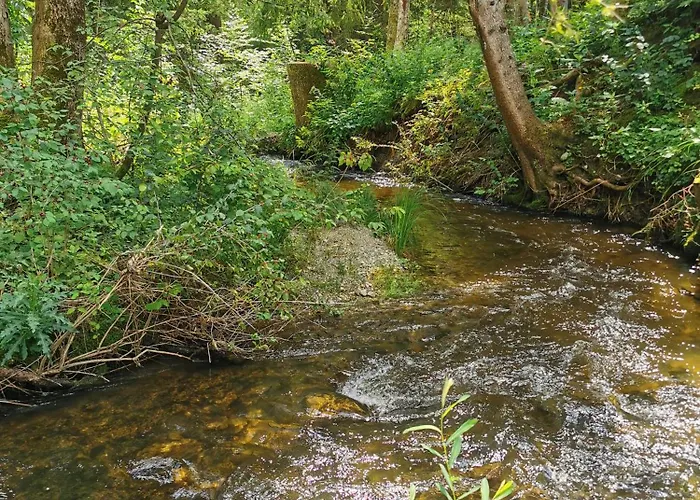 Wald Ist Zukunft