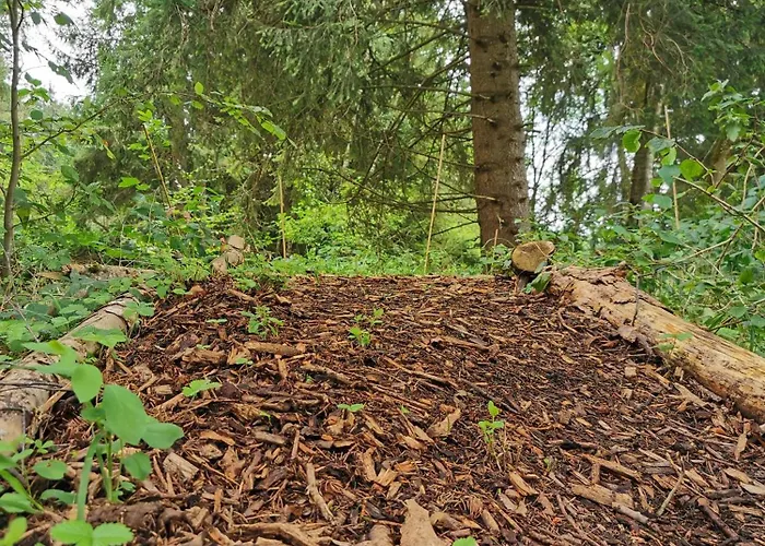 Wald Ist Zukunft База отдыха