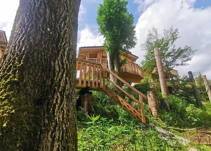 Wald Ist Zukunft 假日公园 伯拜恩