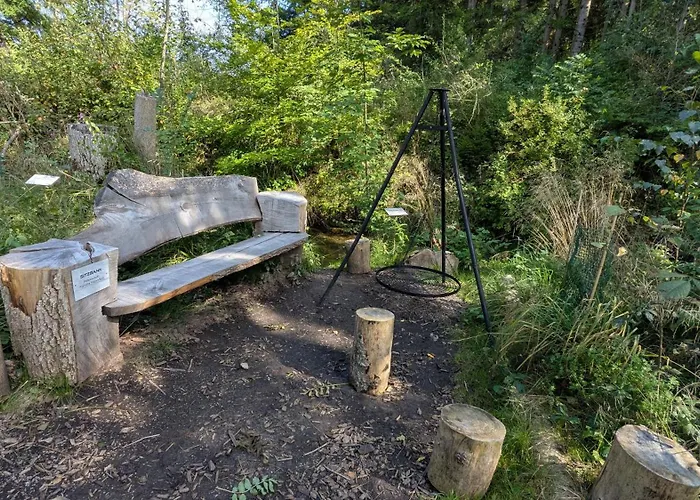 Semesterpark Wald Ist Zukunft Bernbeuren