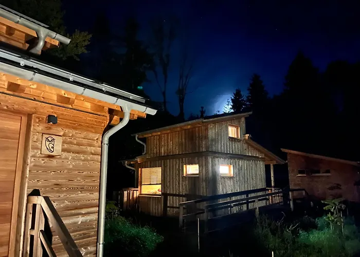 Wald Ist Zukunft Semesterpark